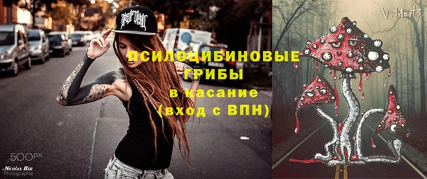 винт Алексин