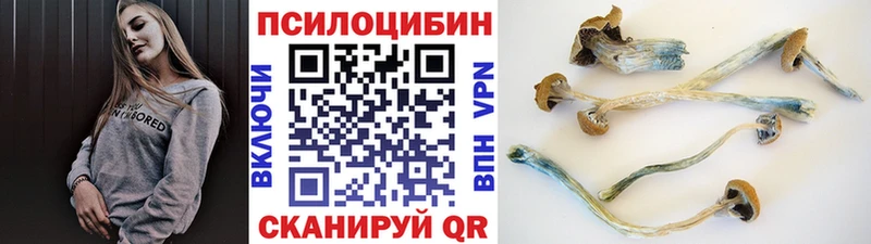 кракен ССЫЛКА  купить наркоту  Белебей  Галлюциногенные грибы Magic Shrooms 